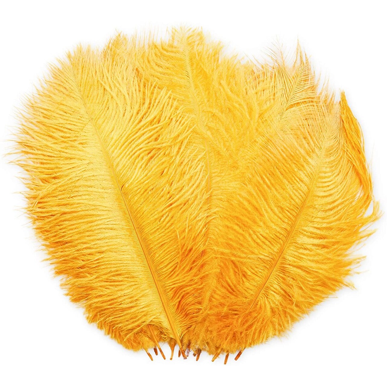 Gold Ostrich Feather Plumes for Crafts, Wedding, Home Decor (10-12 in, 12 Pack)